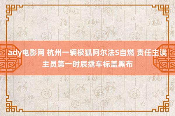 ady电影网 杭州一辆极狐阿尔法S自燃 责任主谈主员第一时辰撬车标盖黑布