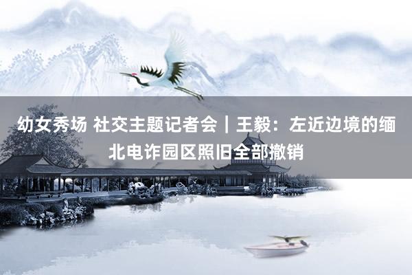 幼女秀场 社交主题记者会｜王毅：左近边境的缅北电诈园区照旧全部撤销
