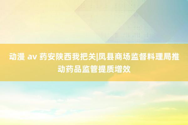 动漫 av 药安陕西我把关|凤县商场监督料理局推动药品监管提质增效