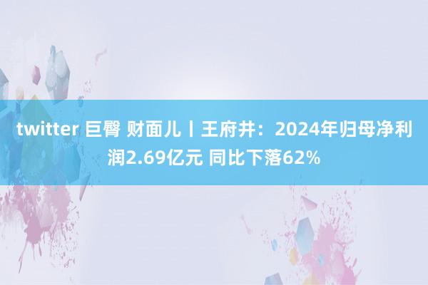 twitter 巨臀 财面儿丨王府井：2024年归母净利润2.69亿元 同比下落62%