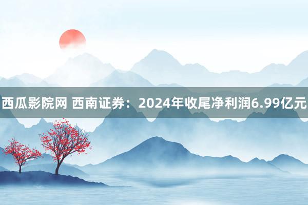 西瓜影院网 西南证券：2024年收尾净利润6.99亿元