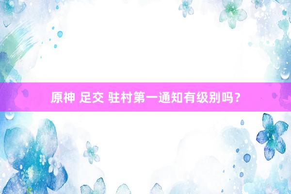 原神 足交 驻村第一通知有级别吗？