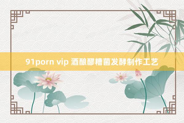 91porn vip 酒酿醪糟菌发酵制作工艺